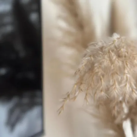 Poilsis Kunigiskiuose * Palanga