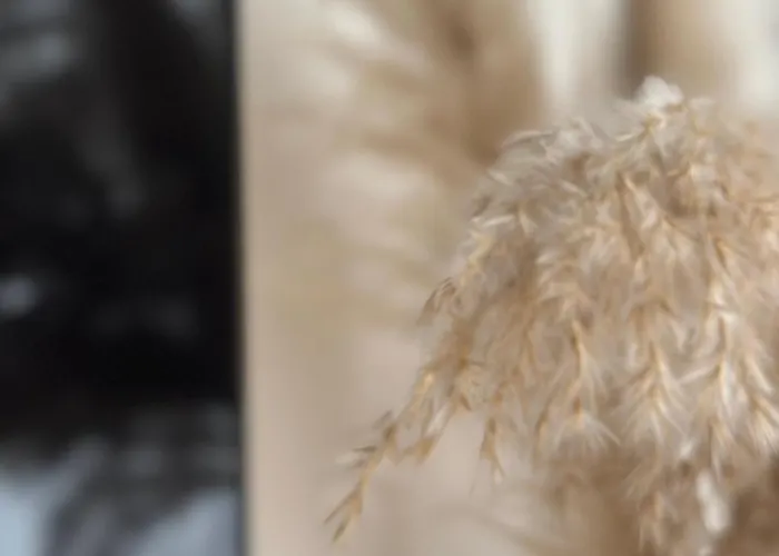 Poilsis Kunigiskiuose * Palanga