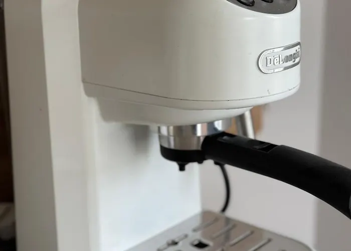 Poilsis Kunigiskiuose * Palanga